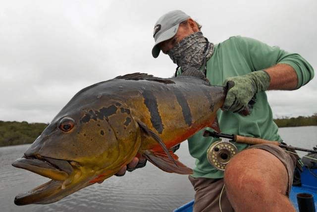 Amazon adventure fishing experience with Hooked on Adventures luxury yacht and Peacock Bass