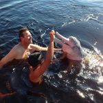 Swimming with the pink dolphins
