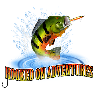 Go Fish: Totally Hooked (2020) - MobyGames